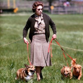 Elizabeth II walks with dogs