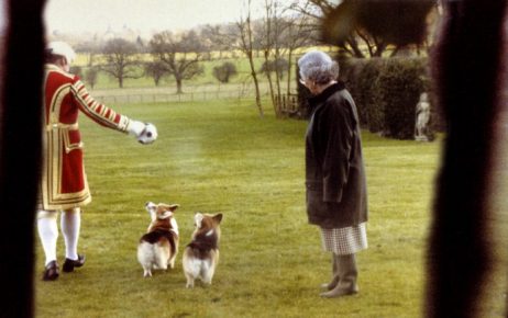 Elizabeth II for a walk with the dogs