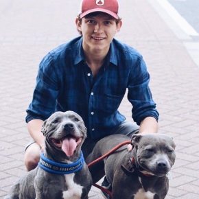 Hollnad with dogs