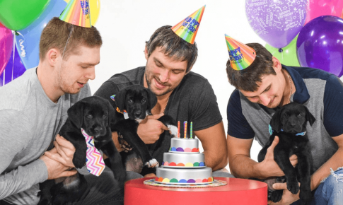 Ovechkin with friends and dogs