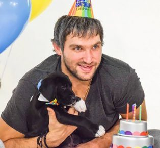 Ovechkin and Labrador puppy
