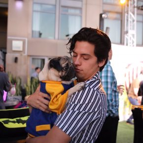 Cole with a pug in his arms