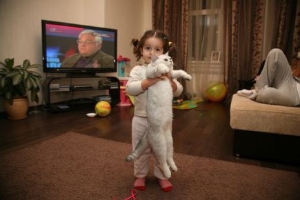 Ksenia's daughter with a shanti cat