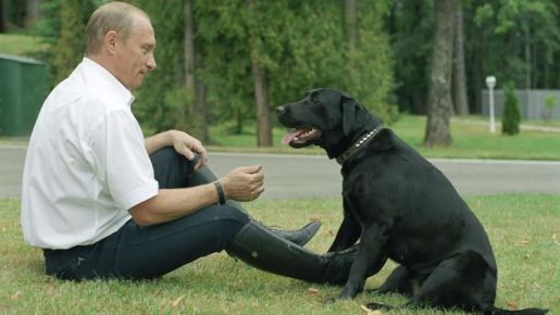 Putin with a Labrador