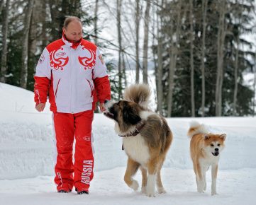 Putin with dogs for a walk
