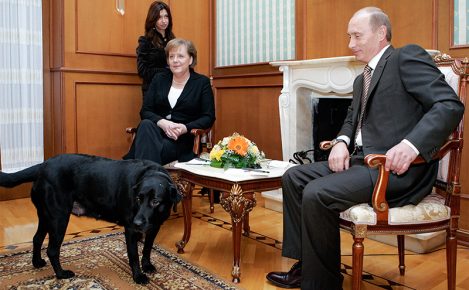 Putin at a meeting with Merkel