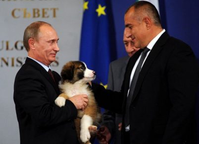 Presentation of the Bulgarian Shepherd Dog to Putin