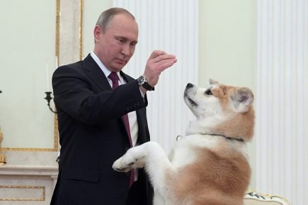 Putin with Yume