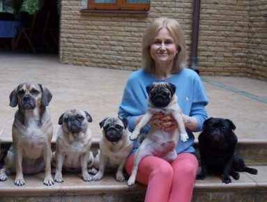 Dogs of Daria Dontsova