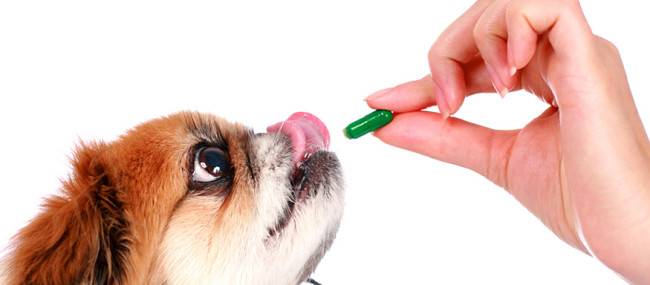 Vitamins for dogs