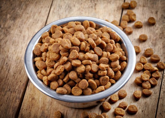 In favor of dry food is the fact that many well-known companies put its release in priority. And the owners of famous kennels are increasingly choosing dry food for cats as the basis