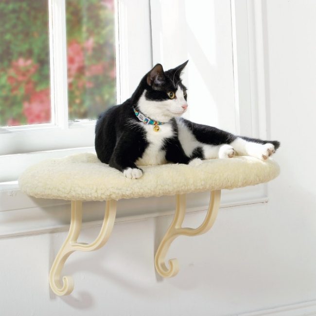 Do-it-yourself lounger for a cat