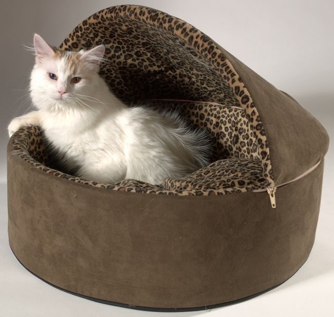 Do-it-yourself lounger for a cat