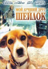 My best friend Shylock