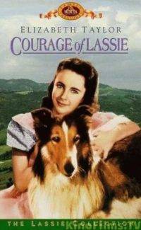 Courage Lassie