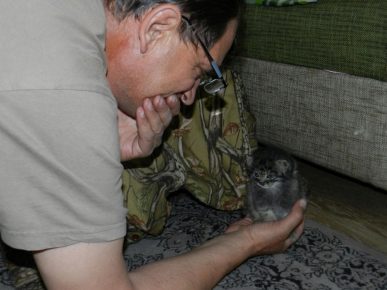Little manulonok in the palm of Vadim