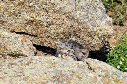 Dasha in the shelter of stones