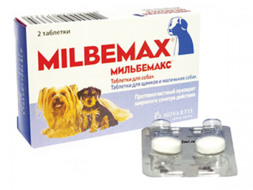 Milbemax and praziquantel for cats and dogs