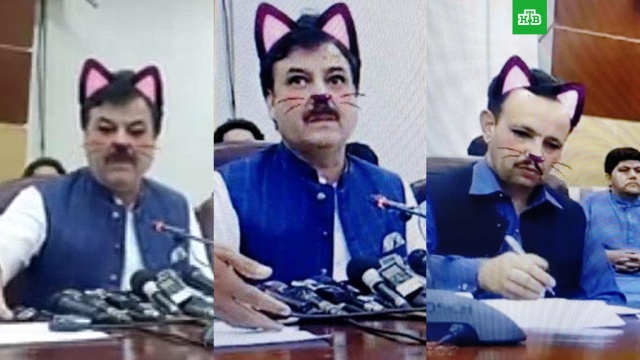 Minister in Pakistan turned into a cat in direct broadcast