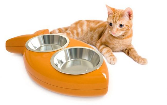 Bowls for cats