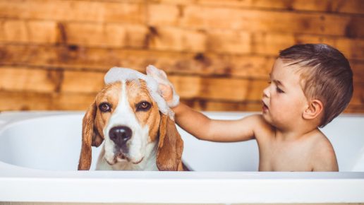 The boy bathes with a dog