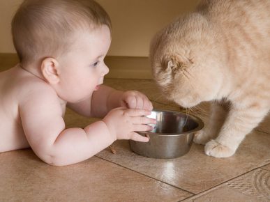 Kid and cat over a bowl of food