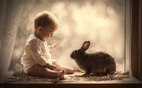 Baby and Rabbit