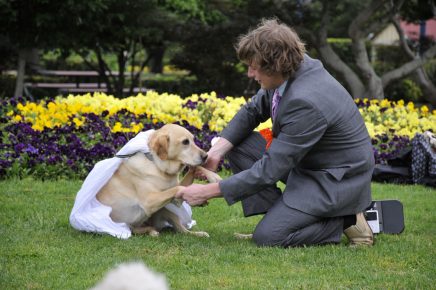 Marriage between man and dog