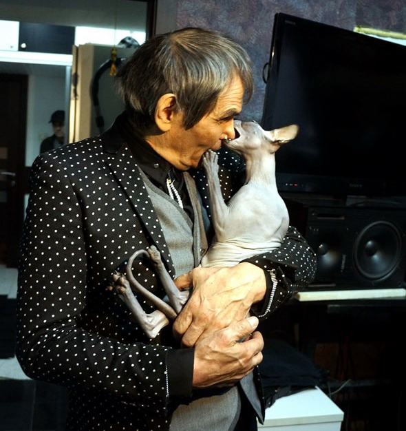 Found a cat Bari Alibasova: a story with continuation