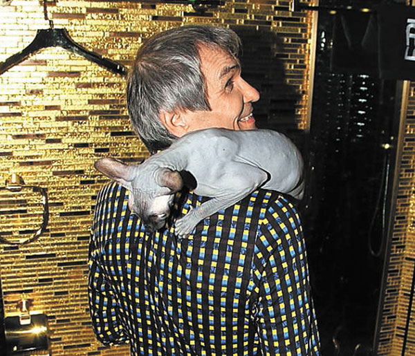 Found a cat Bari Alibasova: a story with continuation