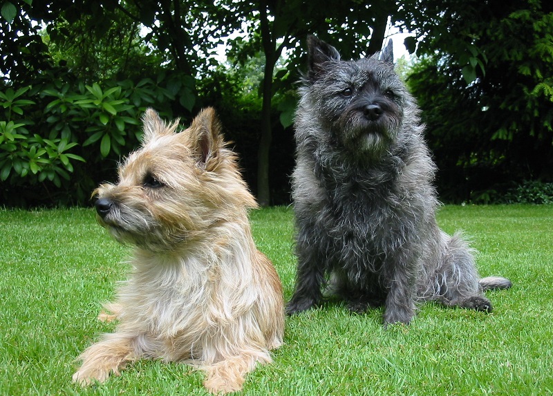 Cairn