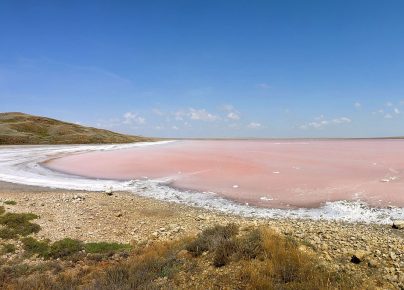 Lake Elton - a meeting place for migrant birds
