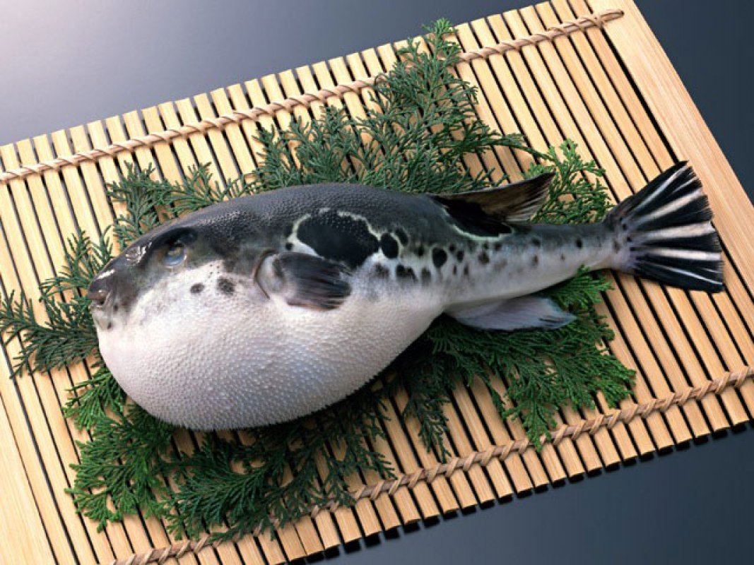Puffer on the table