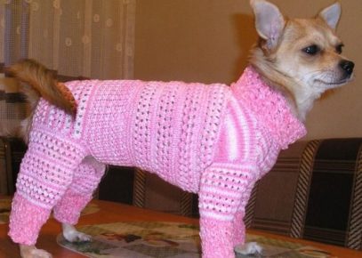 A beautiful pink dog costume made with your own hands