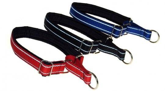 Training collars for dogs