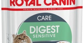 Canned Royal Canin