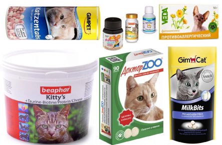 Vitamin and mineral supplements for cats