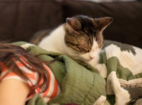 Why is a cat sleeping on a person