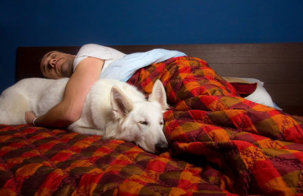 The dog sleeps with the owner