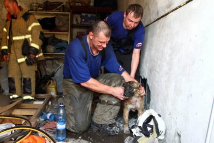 Tommy Puppy and Omsk Firefighters