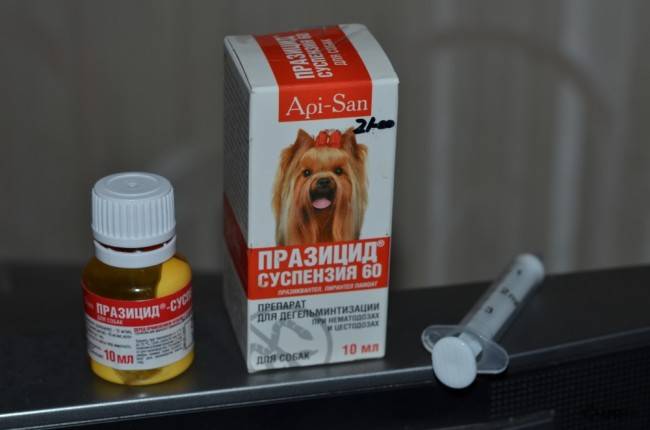 Prazicide suspension plus for dogs dosage