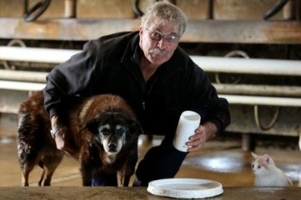 The owner is caring for his elderly dog
