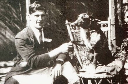 Official record dog Bluey