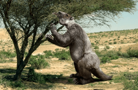 Giant Sloth