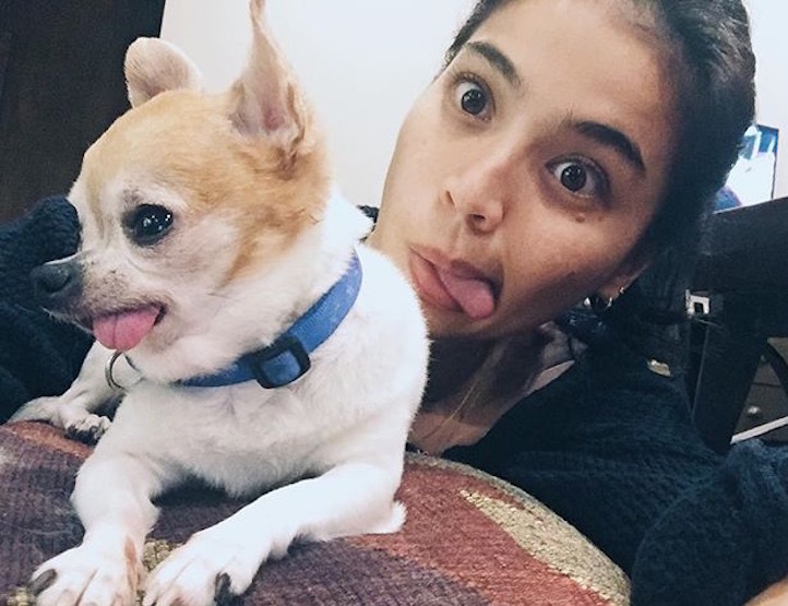 Selfie with a cat and a dog - how to make the perfect photo with animal