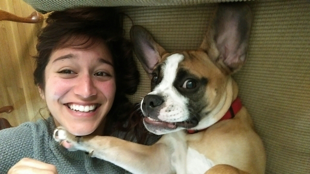 Selfie with a cat and a dog - how to make the perfect photo with animal
