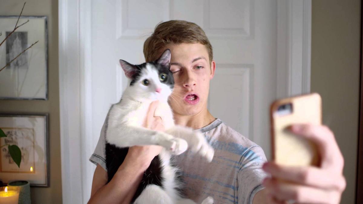 Selfie with a cat and a dog - how to make the perfect photo with animal