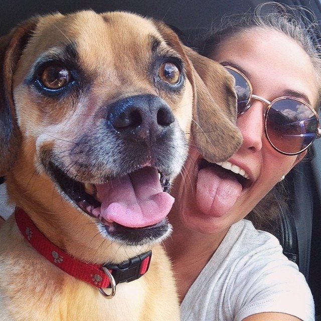 Selfie with a cat and a dog - how to make the perfect photo with animal