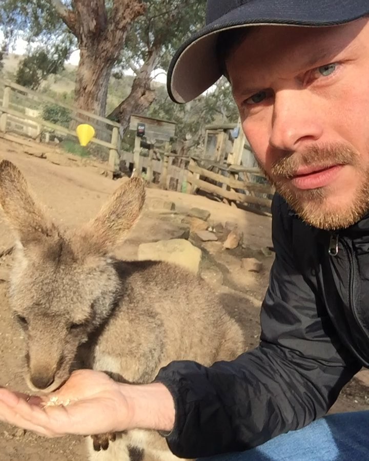 Selfie with a cat and a dog - how to make the perfect photo with animal