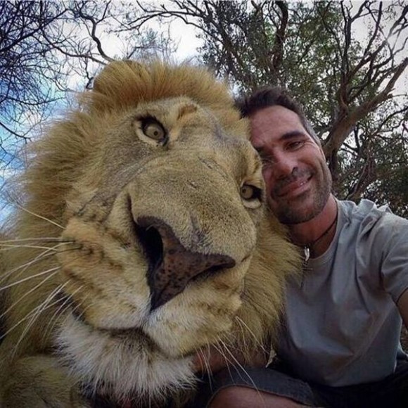 Selfie with a cat and a dog - how to make the perfect photo with animal